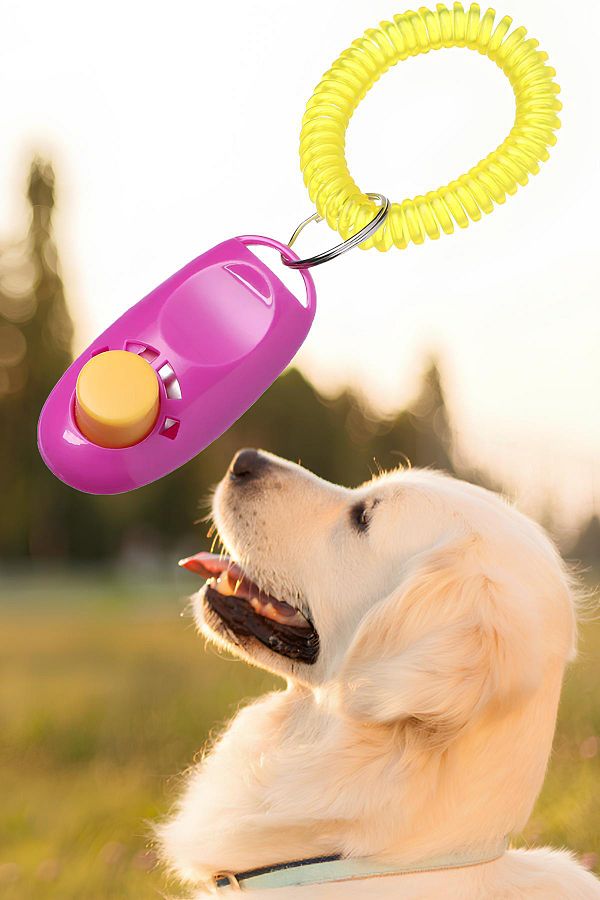 Clicker leash training hot sale