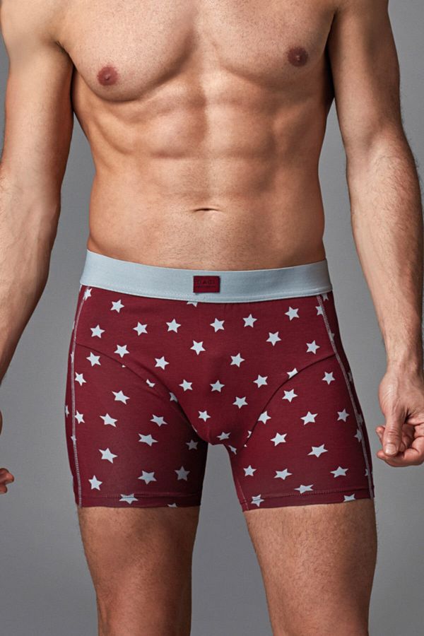 Dagi-Claret Red Combed Cotton Mixed Patterned Men's Boxers 1