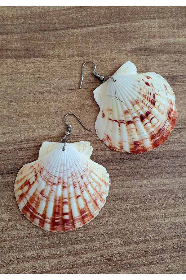 ozde dekor Real Oyster Sea Shell Earrings SILVER COLOR METAL Trendyol