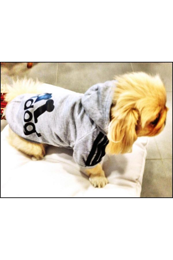 Kemique Adidog Dog Sweatshirt Gray For Small Breeds Trendyol