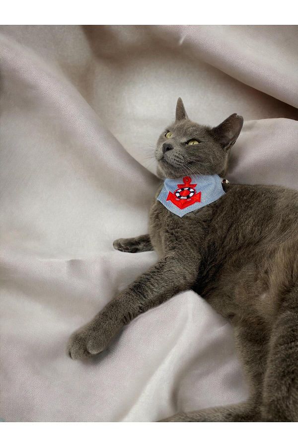 Cat collar dress clearance