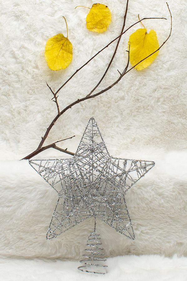 Waldern-Star Crest - Blg Christmas Pine Tree Silver Kycshp 471408 1