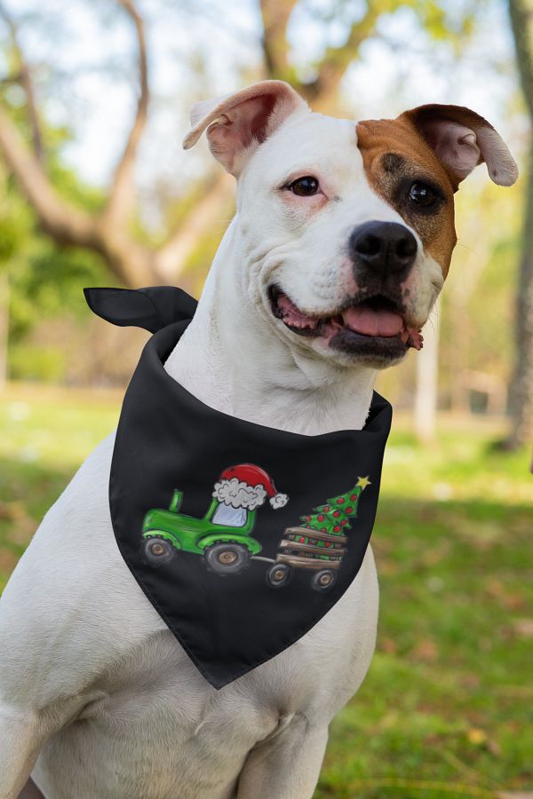 New years dog bandana hotsell