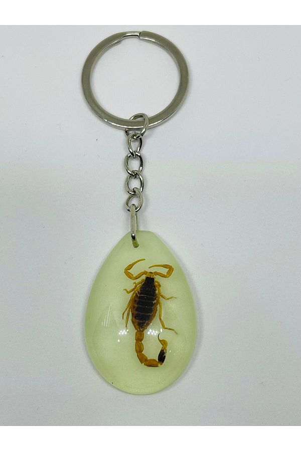 OSİPAR-Scorpion Fossil Phosphorescent Epoxy Keychain-1 1
