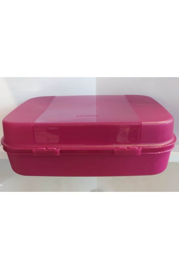 Tupperware-Large Size F20 Cake-Button Storage Container 1