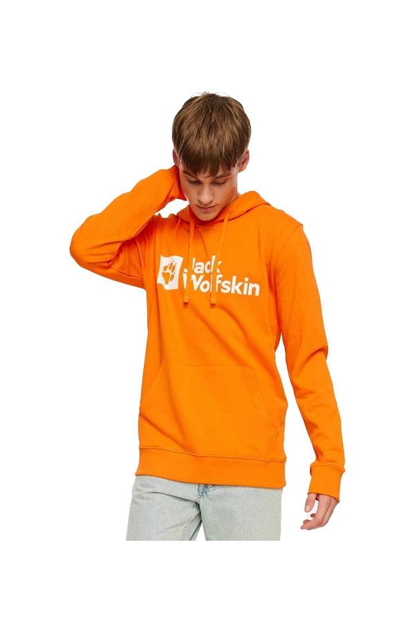 Jack Wolfskin 1000001Tr Arthur Hoody M Outdoor Men s Sweatshirt Trendyol