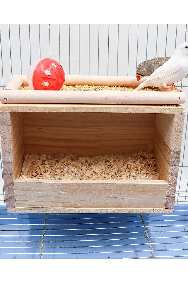 Bird cage deals with nest box