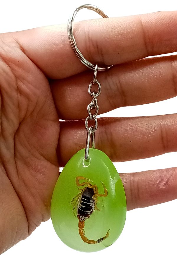 Dünyadan Hediyeler-Fossil Scorpion Keychain Green Drop Resin Inside 1