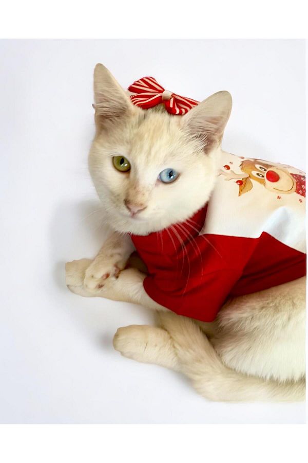 Kemique Rudolph Cat With Deer T Shirt New Year Christmas Christmas Cat Dress Trendyol
