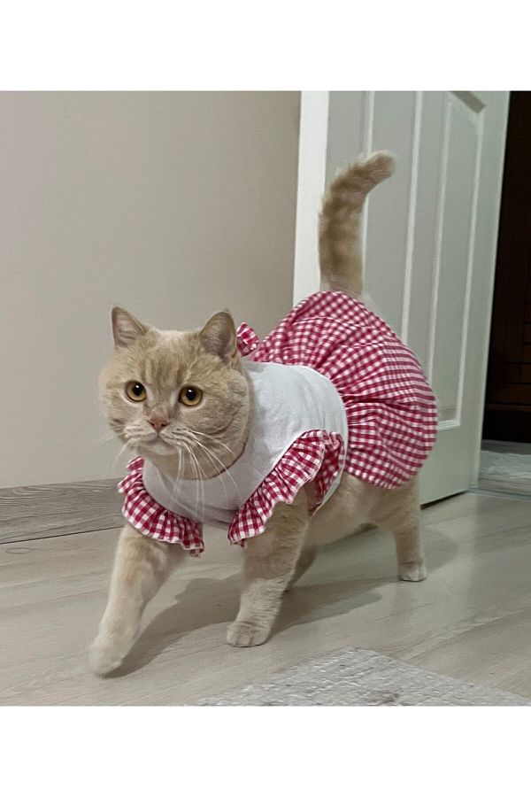 Gobo Pink Checkered Female Cat Dog Outfit Dress with Bow Tie Small S Size 1 Trendyol