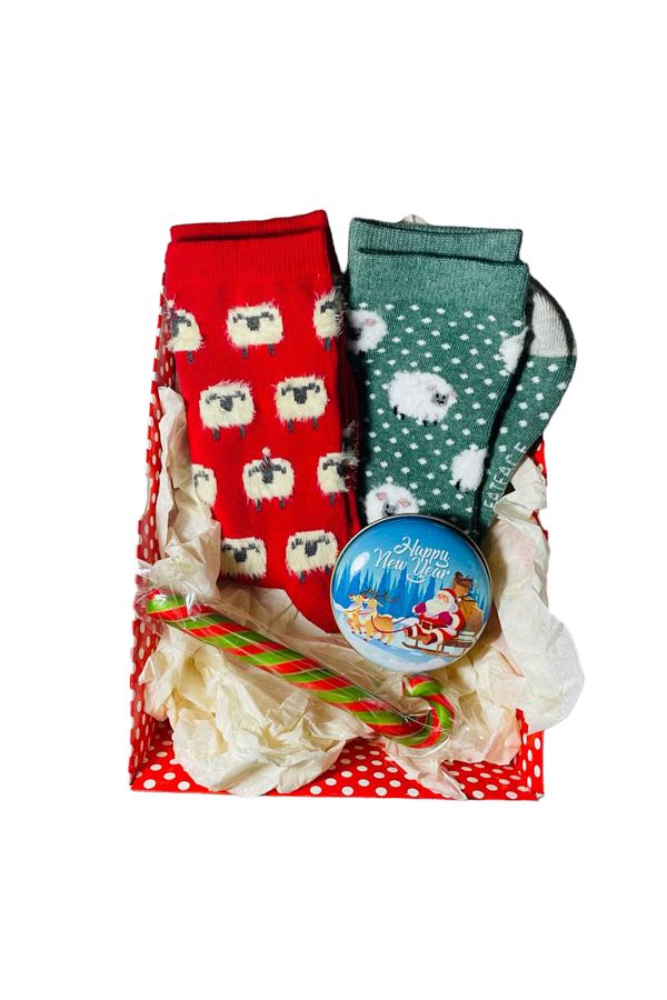 FAT FACE-Plush detailed gift fatface socks 1