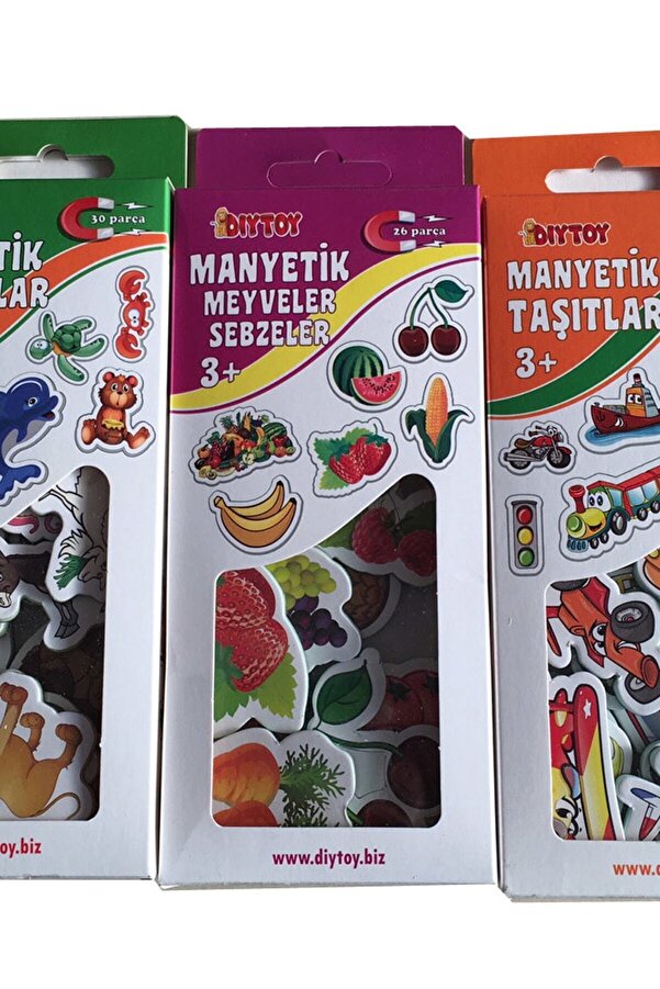 Diytoy 3'lü Manyetik Set Hayvanlar Meyveler Taşıtlar