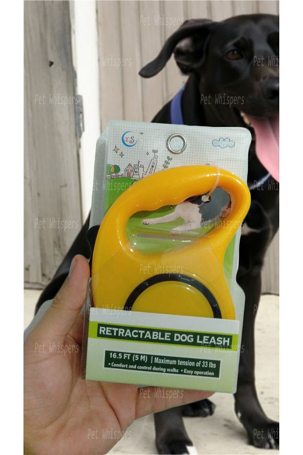 Retractable Dog Leash AUTOMATIC DOG WITH ROLLER 5 METERS Trendyol