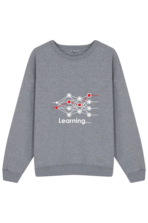 GreenMint-Unisex Oversize Sweatshirt Data Science Neural Network Learning Machine Learning gift 1