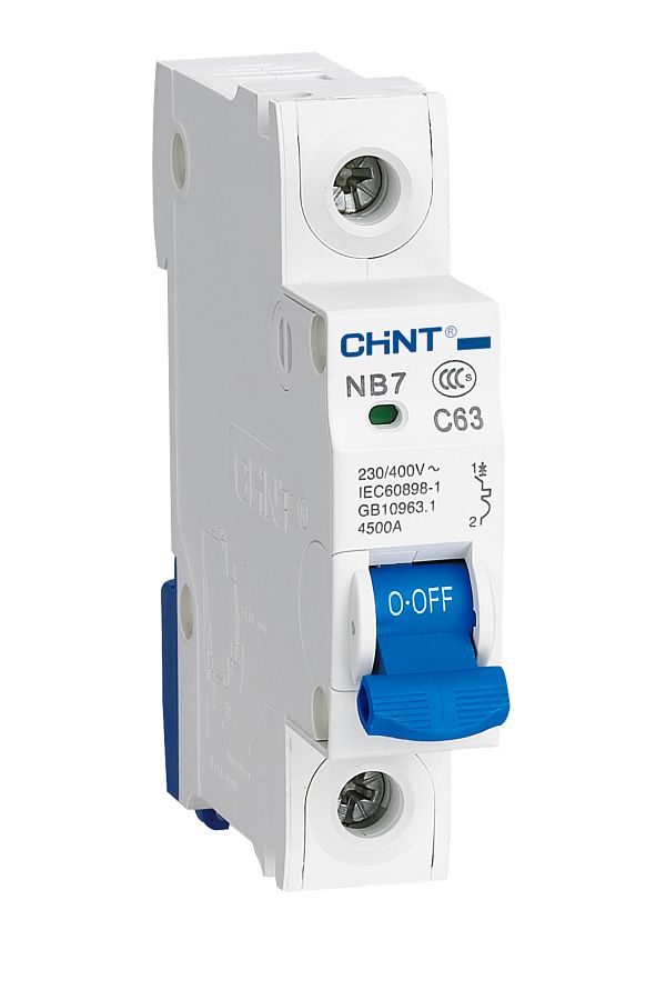 chint-CHINT NXB 1 POLE 6KA C/63A AUTO FUSE 1