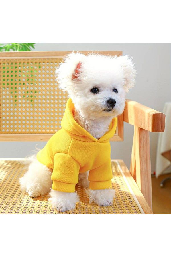 Yellow dog sweatshirt on sale
