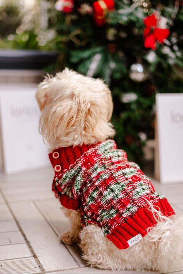 Nikadu Small and Large Breed Dog Christmas Sweater Dog Knitwear Trendyol
