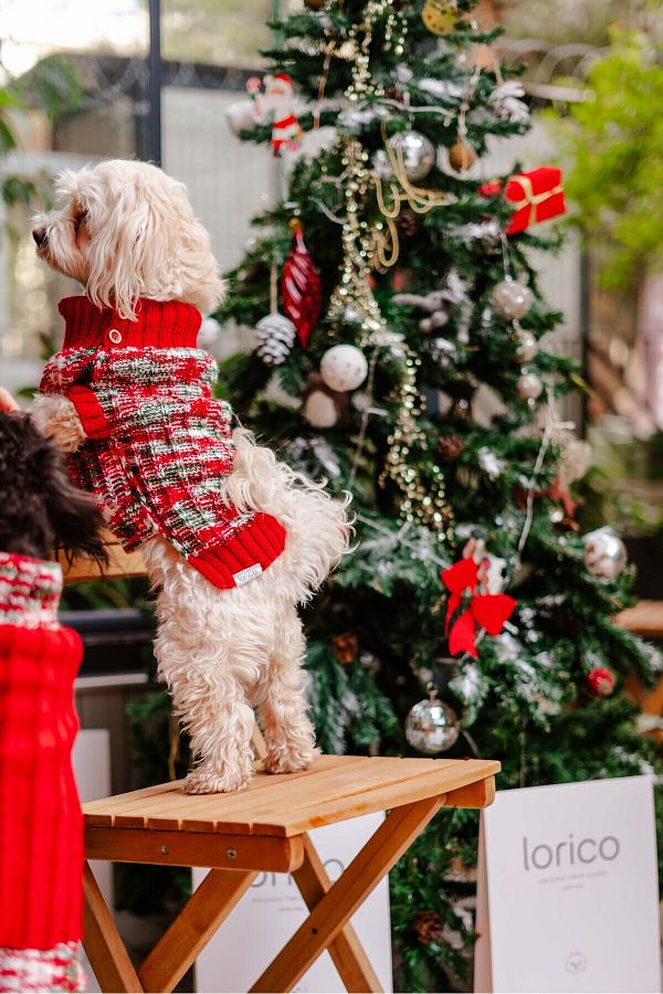 Nikadu Small and Large Breed Dog Christmas Sweater Dog Knitwear Trendyol