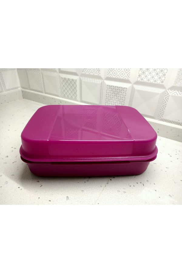Tupperware-F20 Model Storage Container 1
