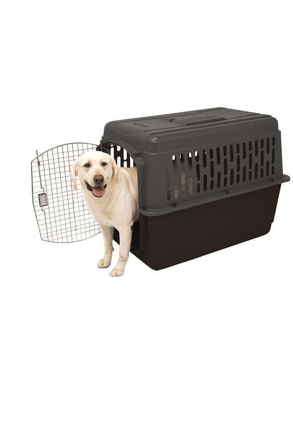 Petmate Pet Porter Dog Carrying Cage No 7 102X69X76Cm Trendyol