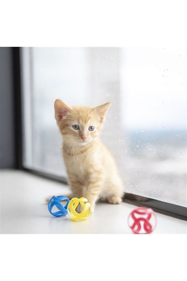 Cat crazies toy hot sale