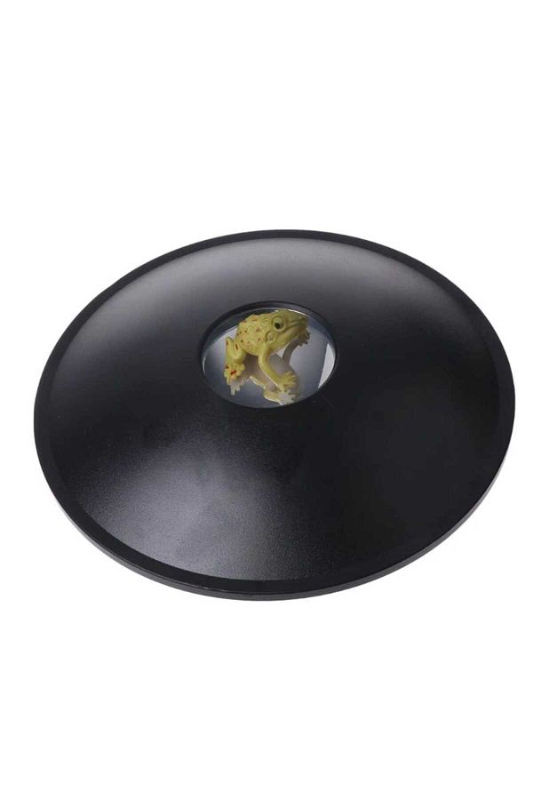 OOTDTY-3D MIRASCOPE TOY Optical Illusion Hologram Image Creator Magic Science Educational Toy 1