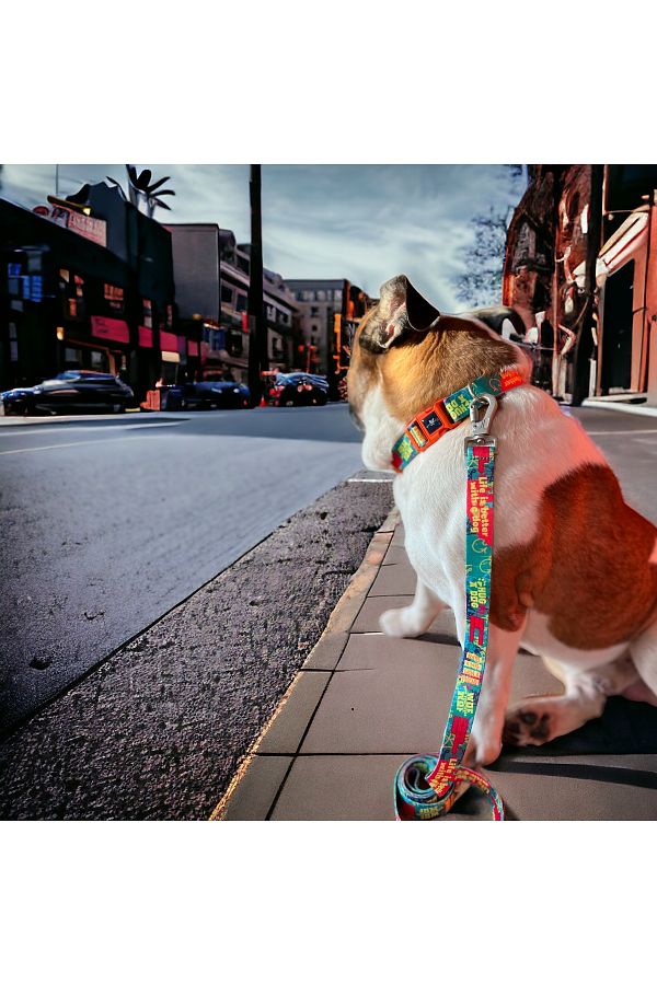 PAWLOOK Green Dog Walking Strap Dog Walking Leash Recycled Recycled Trendyol