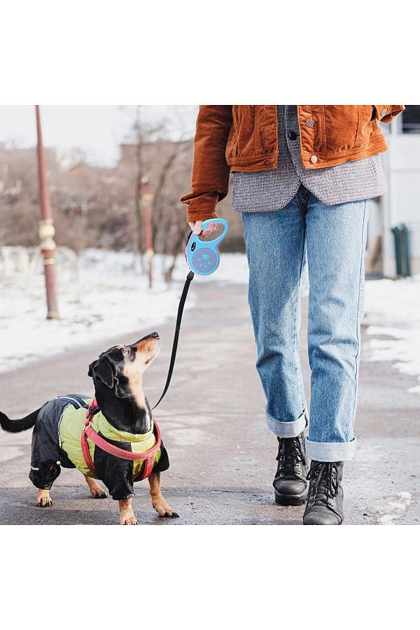 Anti tangle dog leash shop