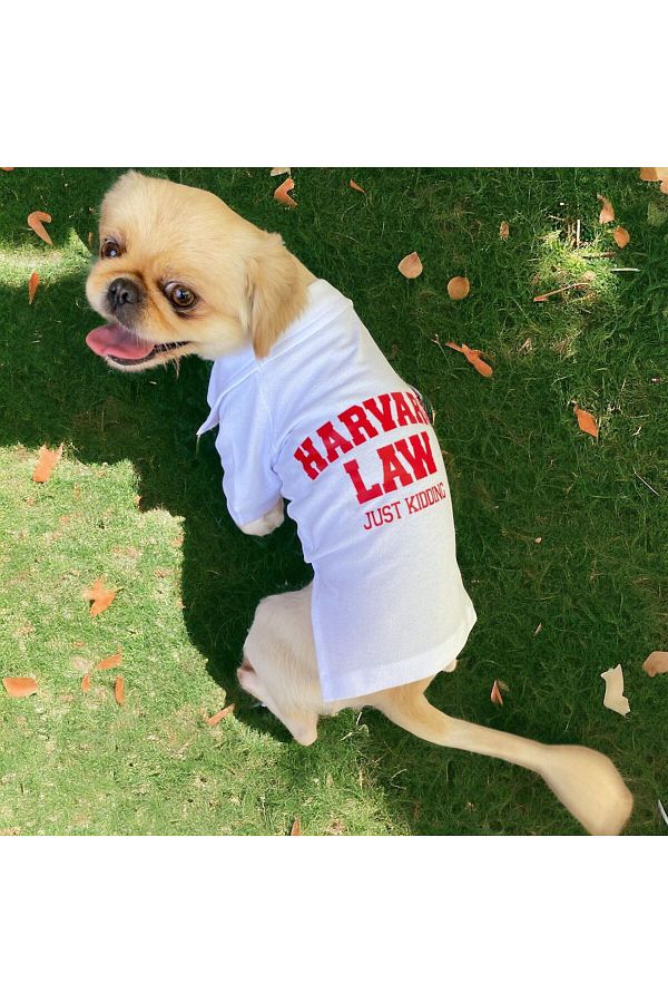 Harvard dog sweater top