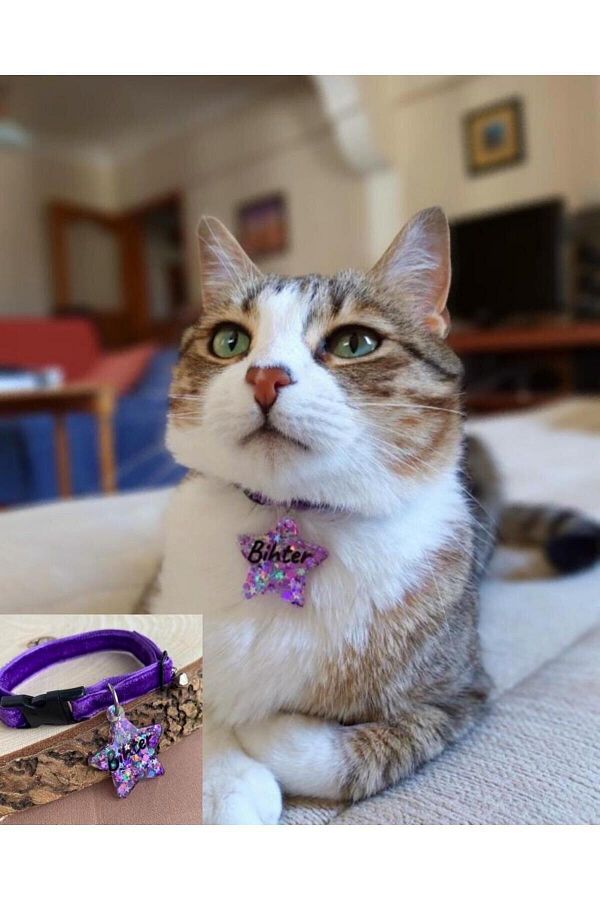 Purple glitter dog collar top