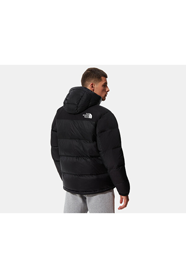The North Face M Hmlyn Down Parka (550 Goose Feather) Men's