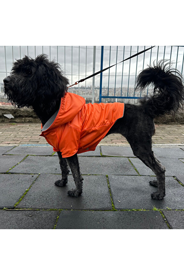 Patte Zone Rain Mandarin Cat Dog Raincoat- Trendyol
