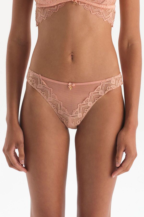 Dagi-Lachsfarbenes Slip-Höschen mit Mesh-Vorderseite und Spitze 1