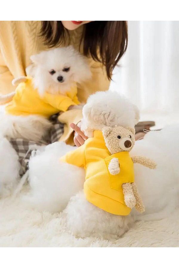 Teddy sweat hot sale