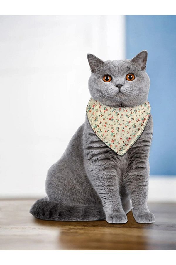 POFUDUK PAT PATTERNED CAT SCARF BANDANA NECK COLLAR Trendyol