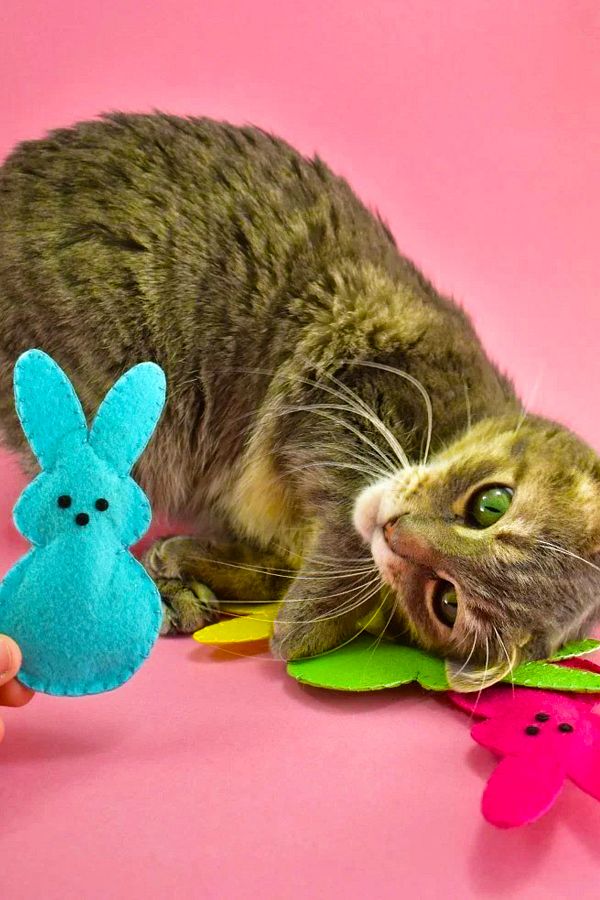İnşirah Concept-Cat Mint Catnip Cat Toy Felt mouse Toy Mouse Game for Cats 1
