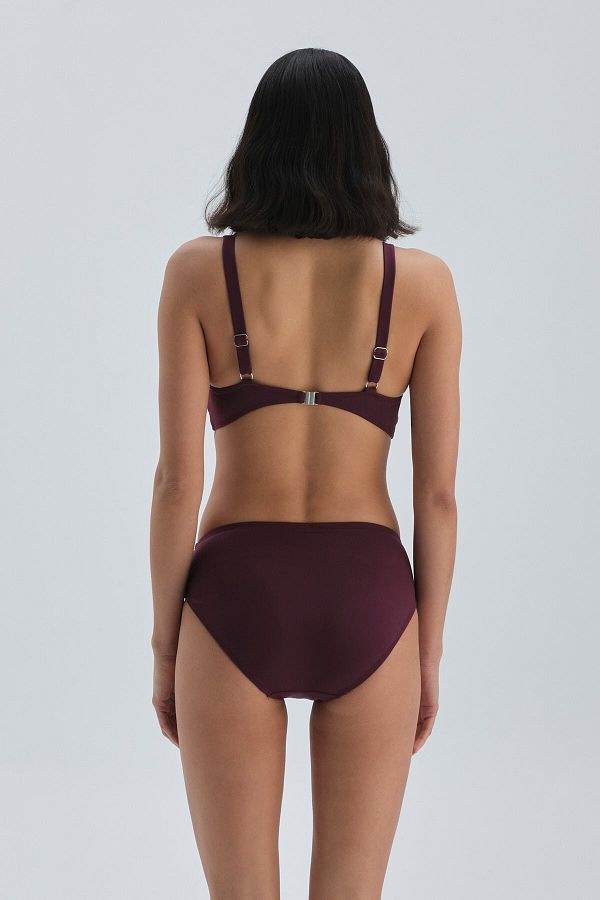 Burgundy high waisted bikini bottoms sales