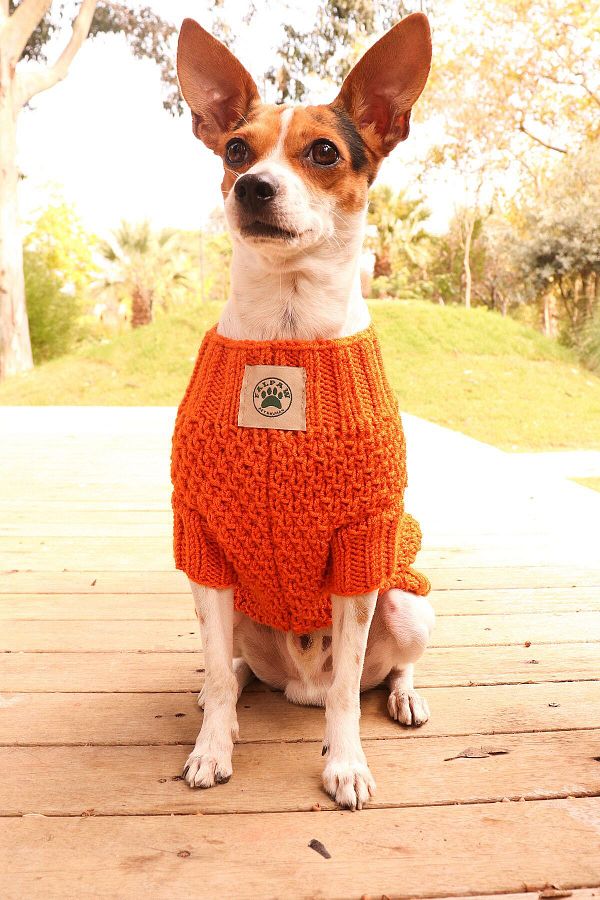 Falpaw Hand Knitted Orange Dog Sweater cat Sweater Trendyol