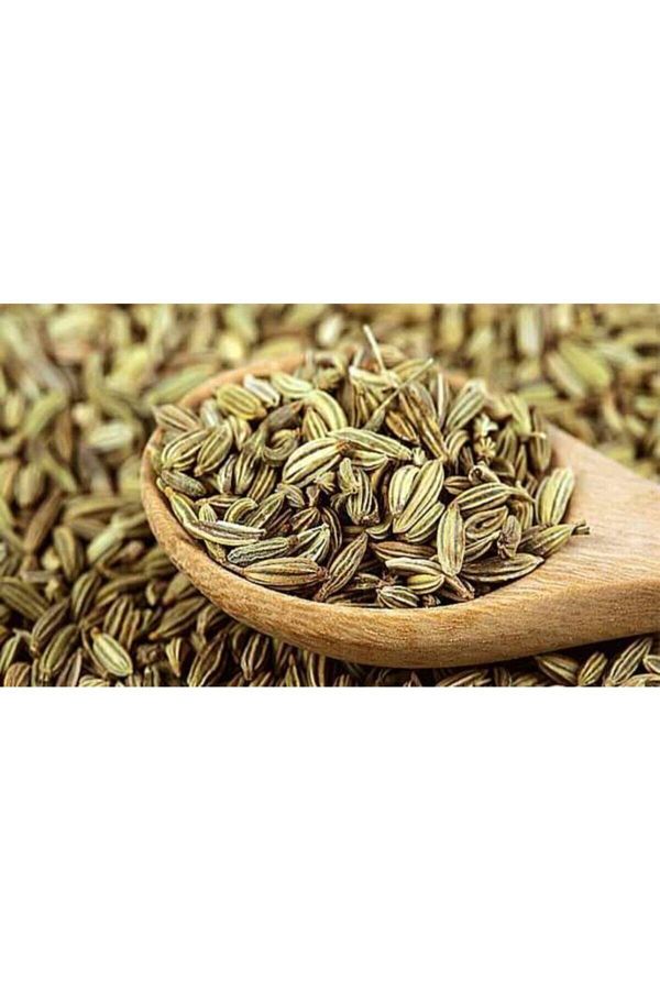 naturalköyürünleri-Fennel 250 g 1