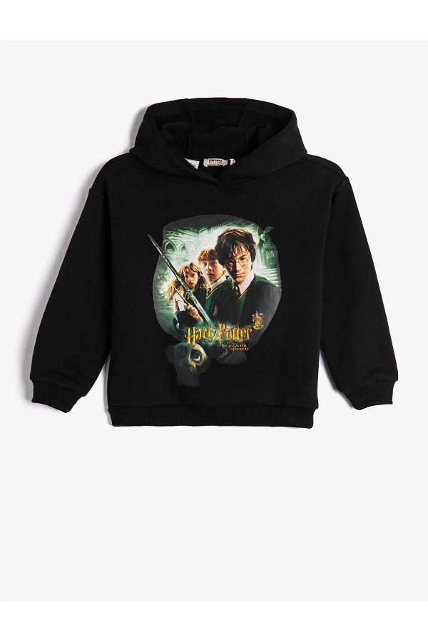 FR ENDS K DS Harry Potter Hooded Sweatshirt Long Sleeve Trendyol