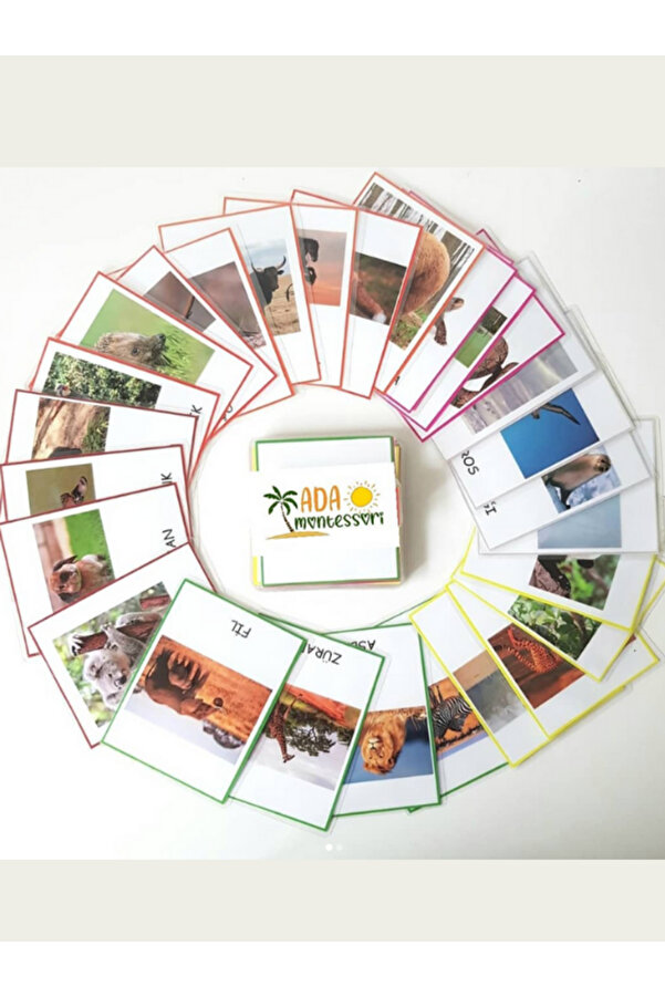Ada Montessori Kıtalar ve Hayvanları 3 Aşamalı Kart