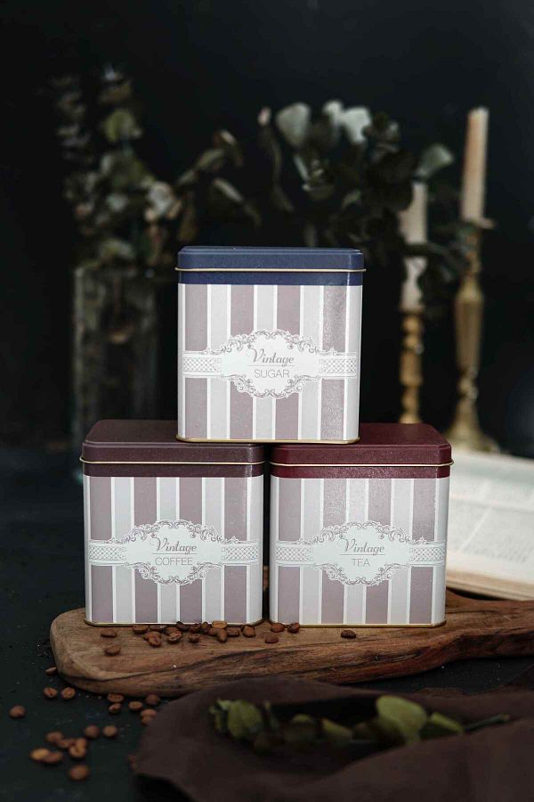 EVLE-Erb36V5 Rectangular Storage Container 8 X 12 X 12 Cm, Set of 3, Elegance 1