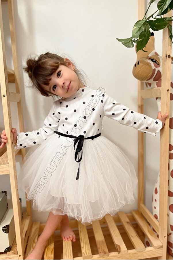 Long Sleeve White Baby Tutu Dress Baby 3D Flowers Puff Embroidery