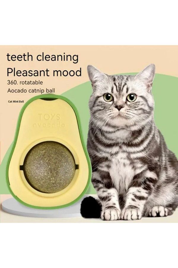 TRUSTMODA-Avocado Catnip Avocado Cat Grass Ball Avocado Catnip Toy 1