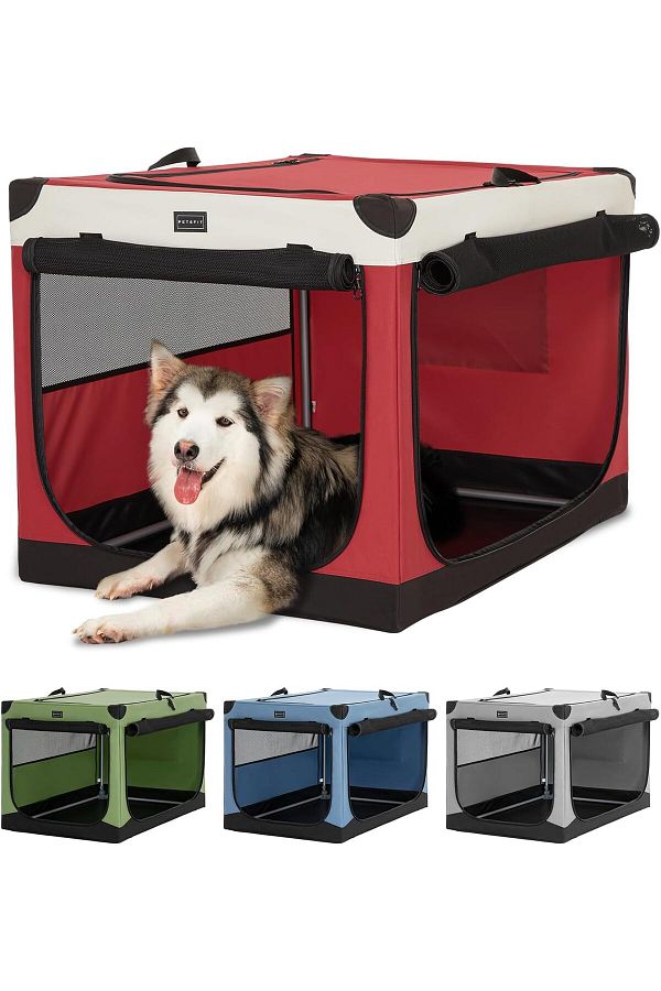 Dog carry box for car new arrivals