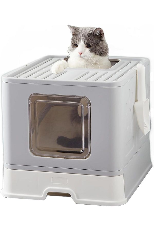 Large cat toilet shop
