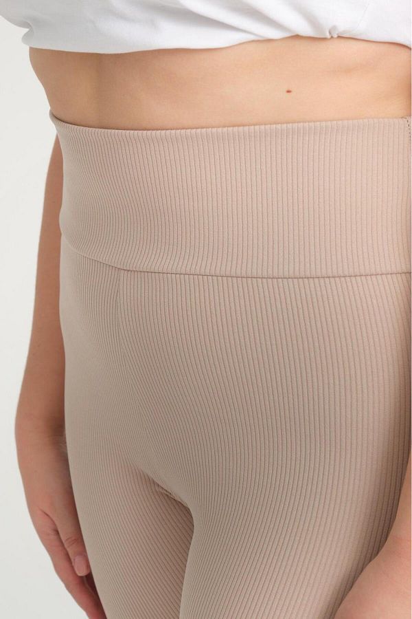 Plus size cream tights online
