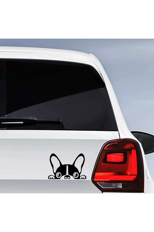 French bulldog car sticker 2025