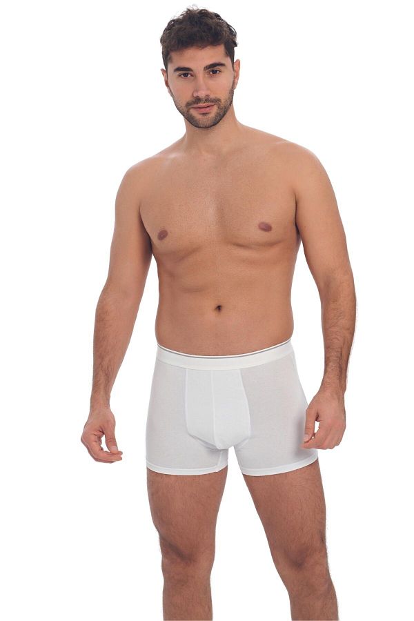 Anıl-Men's Cotton and Modal Fabric Wide Waist Elastic Classic Boxer (0019) 1