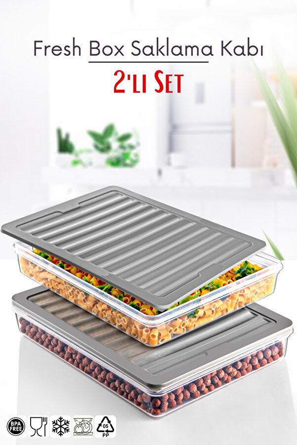 Nandy Home Freshbox Set of 2 - Gray Microwave and Diffused Storage ...
